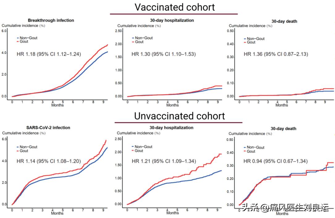 痛风的人感染新冠能不能吃布洛芬,痛风的人感染新冠后症状