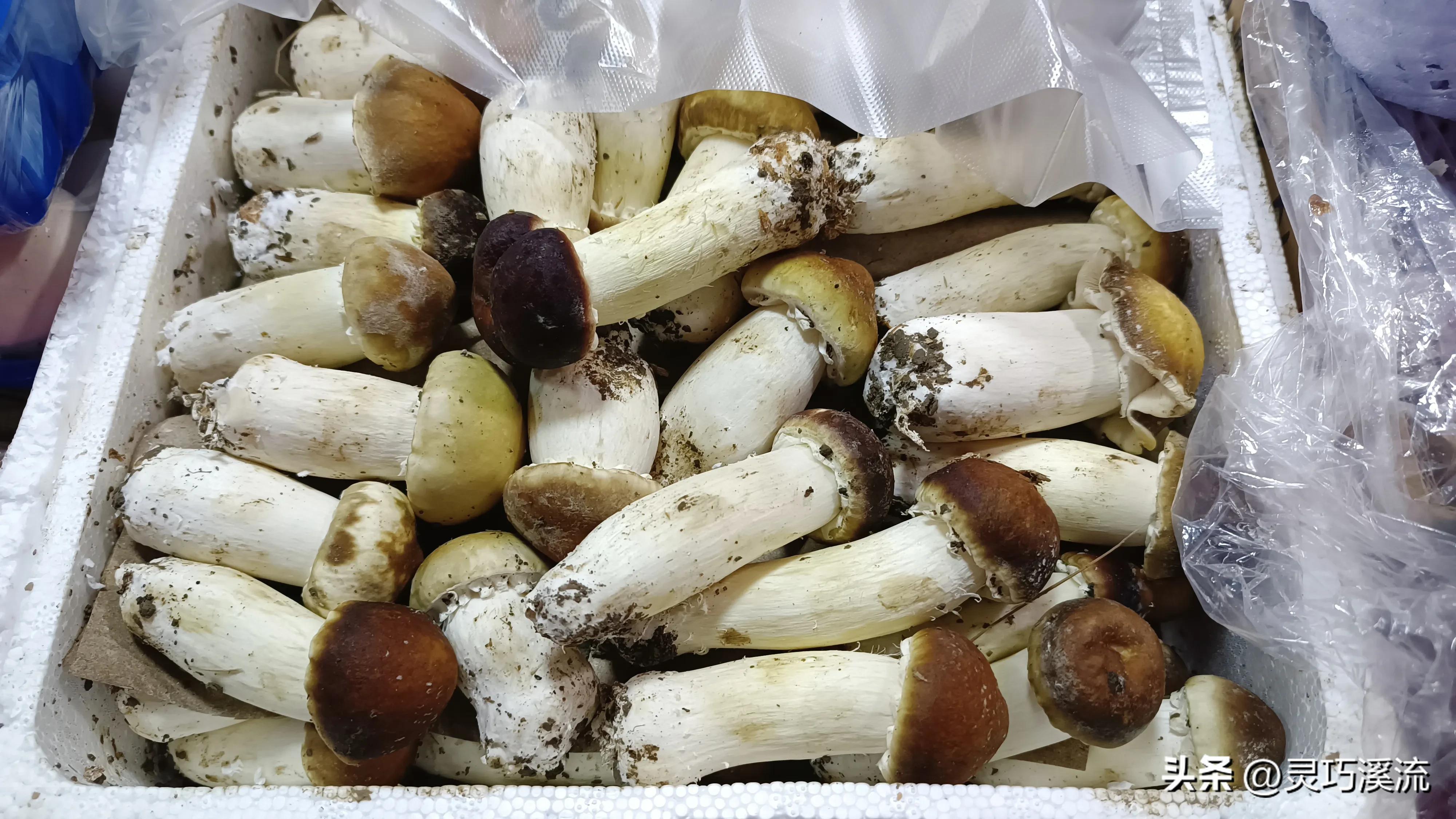 周末生活日记100篇 (日记50字周末生活)