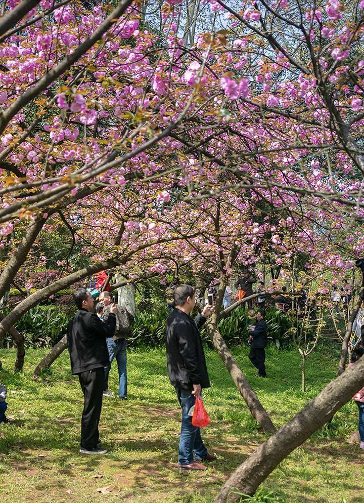 神农公园风景,神农公园的风景