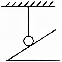 2021菏泽中考物理试题,菏泽一模二类卷物理
