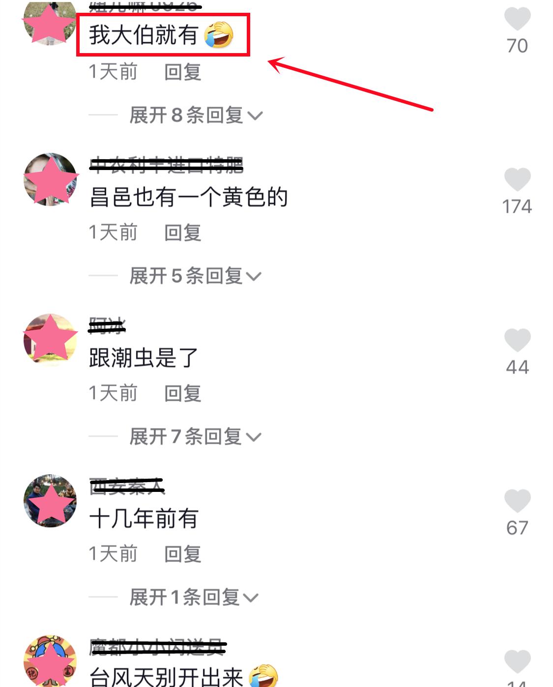 大妈街头开“三轮敞篷车”，造型酷似西瓜虫，网友：车篷自动开合