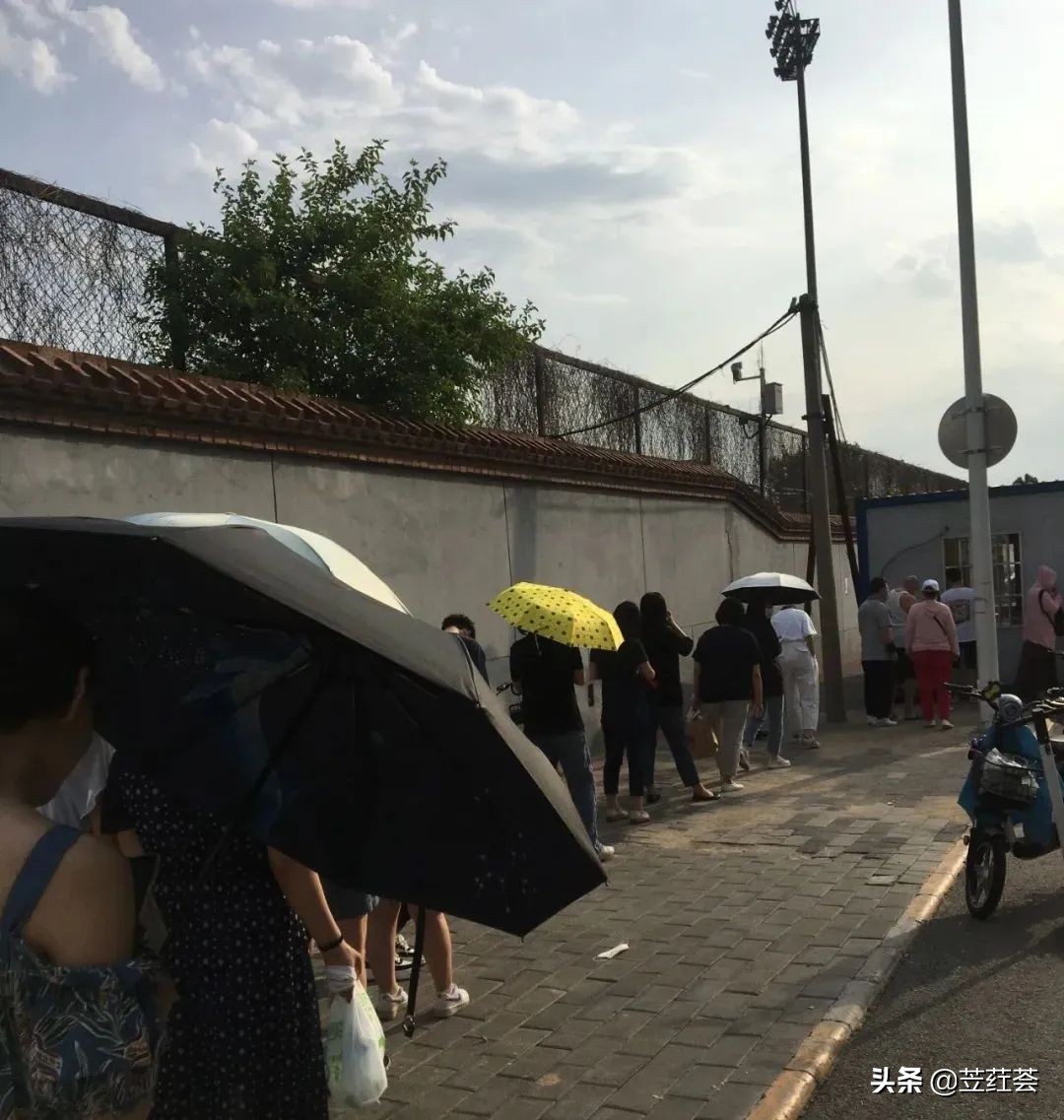 太阳下的核酸​——作者：朱立红（第九首诗歌）|苙荭荟诗