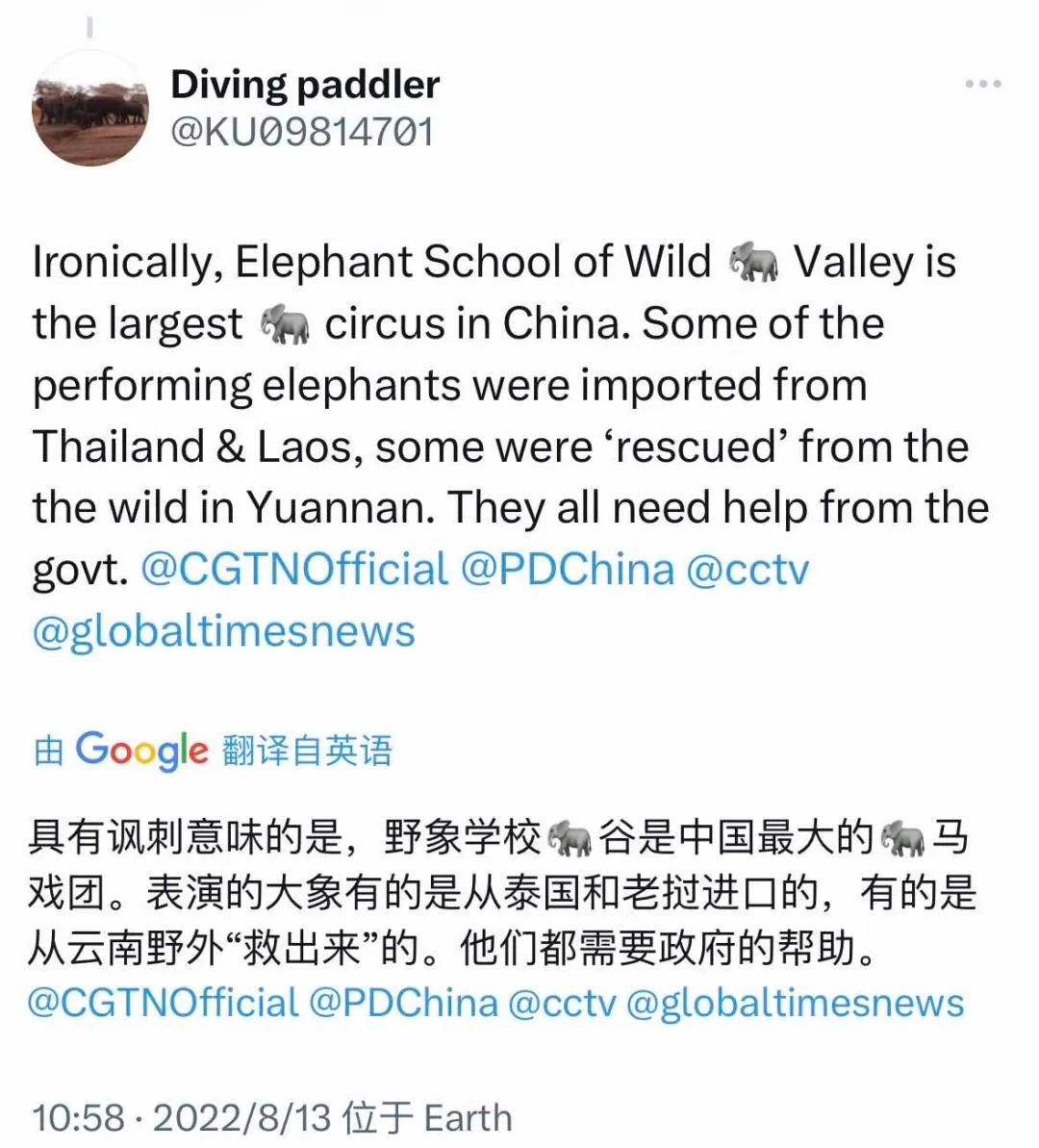 大象被铁链拴住,野象谷用针扎大象