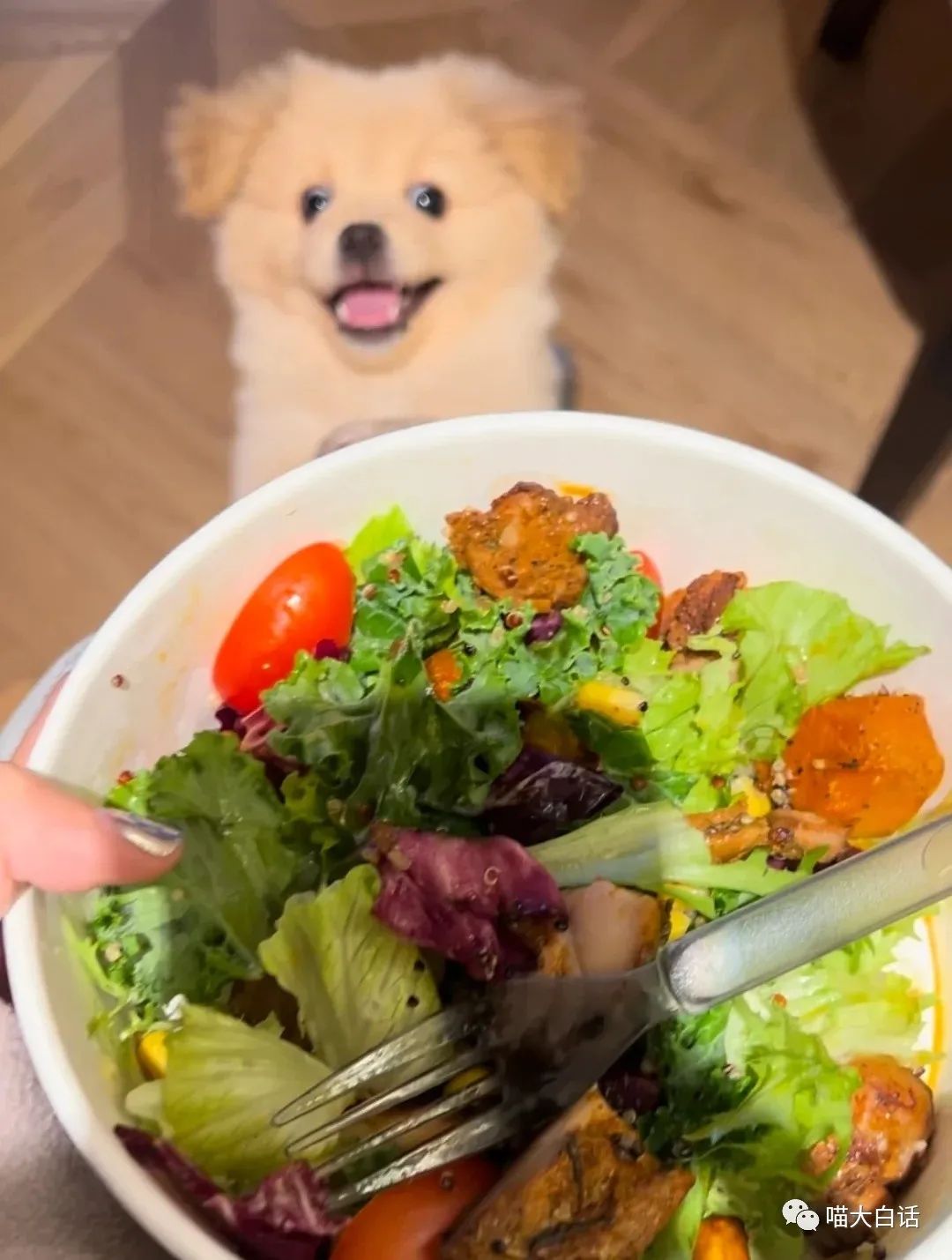 当富豪看到自己的国家队输球后...哈哈原来有钱人也会不高兴！