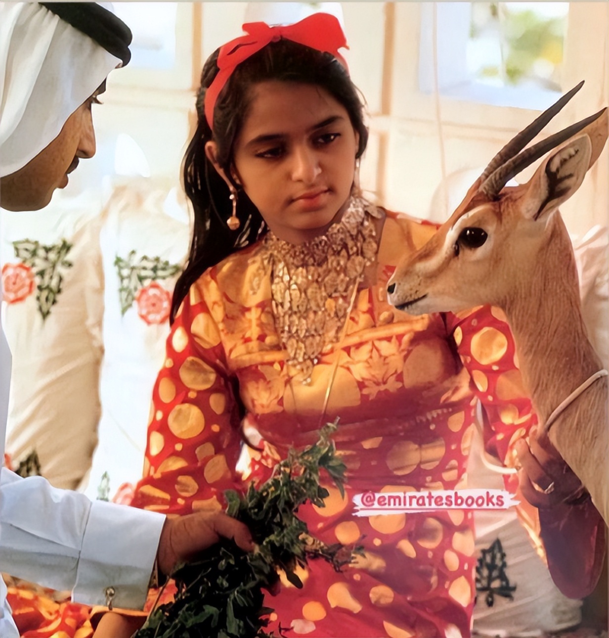 原来圣裔血统,也难逃童婚的命运啊