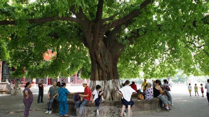 一个农民18个月5万到1.2亿，到底有什么学习和借鉴的智慧