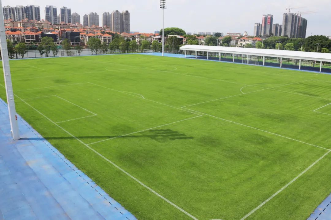 南海区免费足球场,南海体育中心天然草足球场