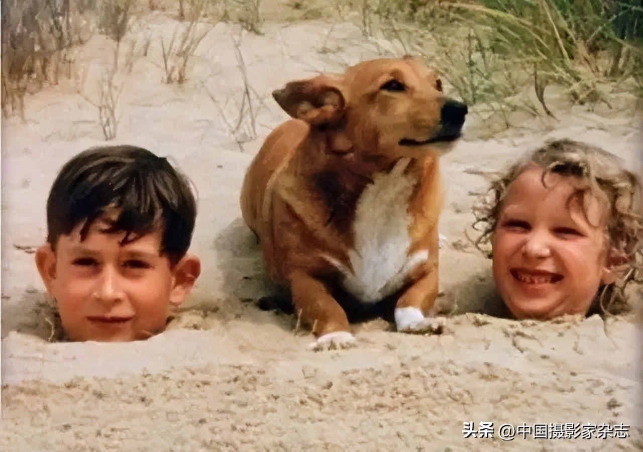 108张令人惊讶的历史与自然照片,有颠覆你认知的那张吗?