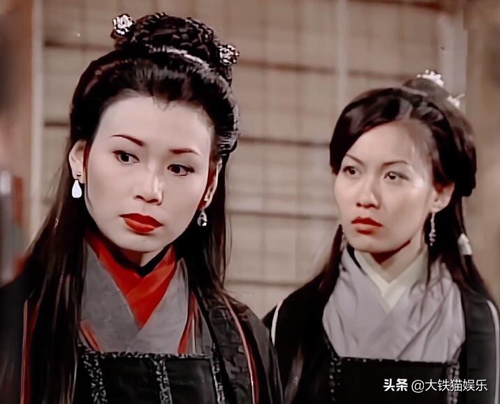 老版天龙八部段正淳情人们,03版的天龙八部段正淳是谁演的