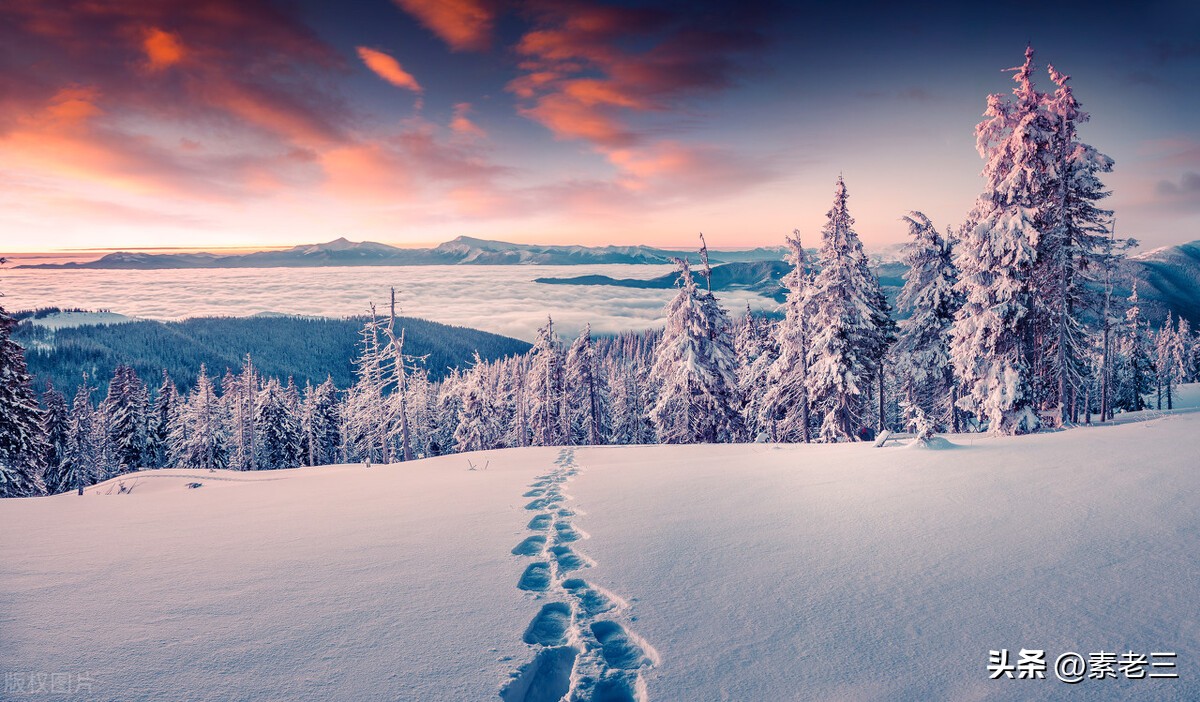 女作家去做保姆528,女作家去做保姆最新篇528