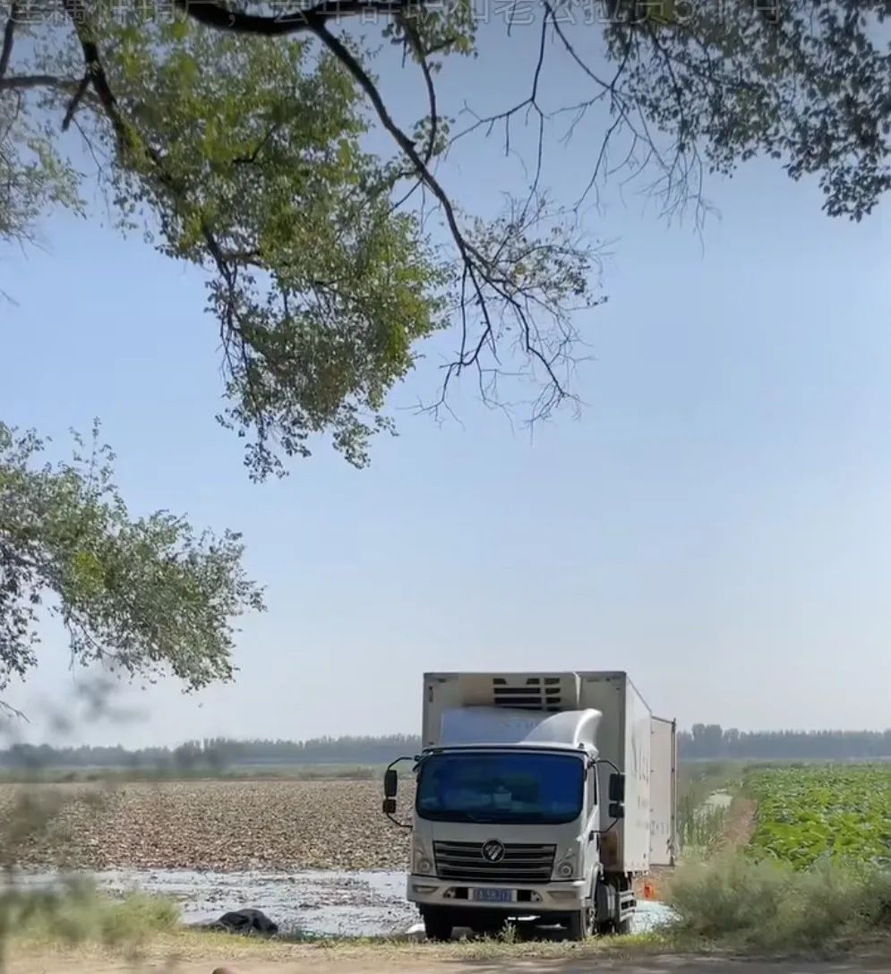 高管辞职与妻子环游中国,土豪丈夫破产