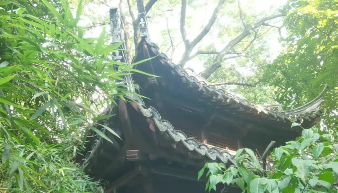 好学近乎知的读音,好学近知力行近仁是哪个学校的