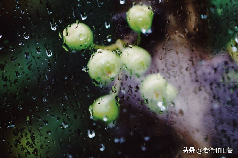 罗生门和黄粱梦,罗生门香港live