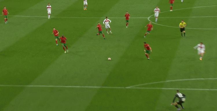 世界杯巡礼葡萄牙,世界杯葡萄牙老帅