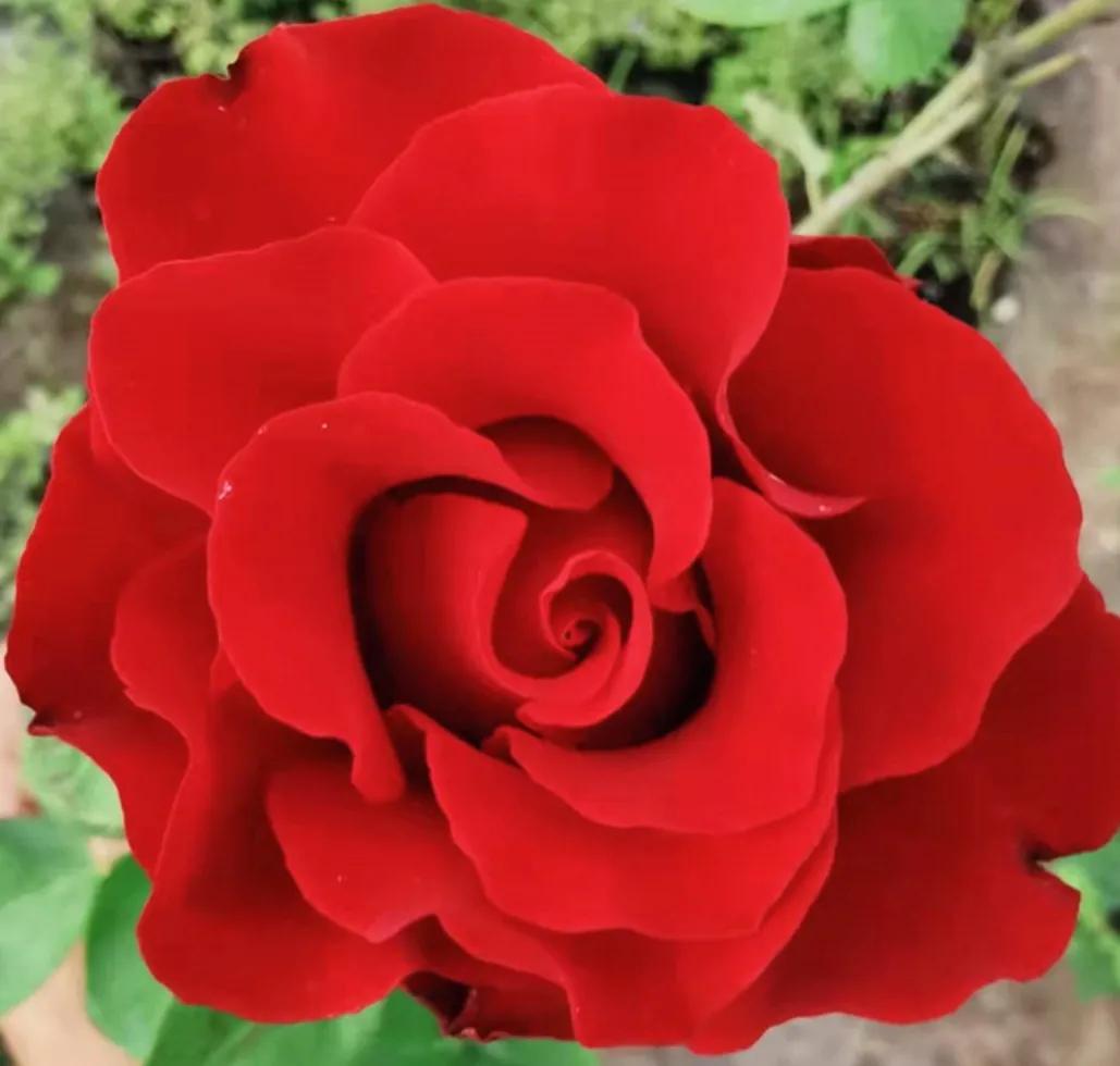 头条新手创作注意事项,头条创作注意哪些事项