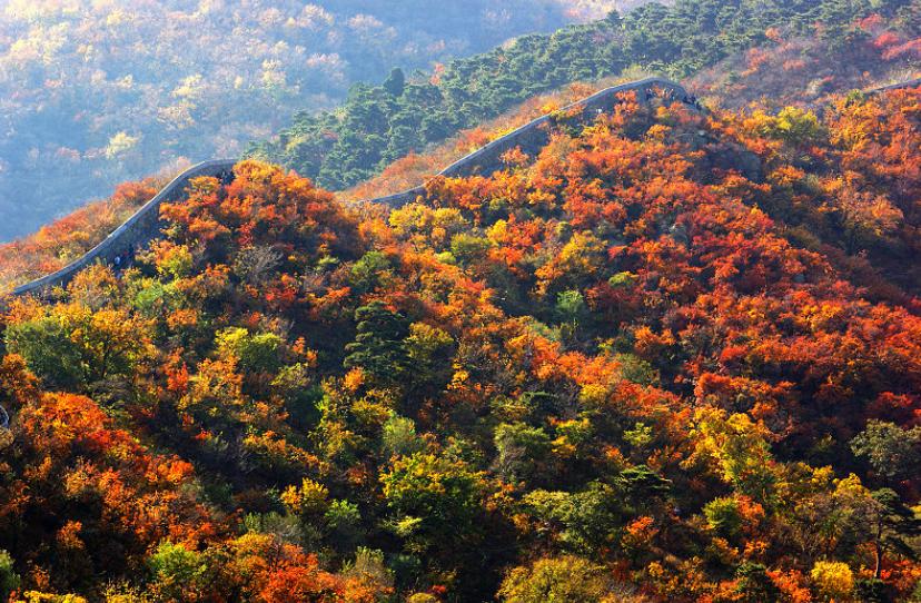 1949年，是谁提议将中南海，作为*党**中央办公地点的？