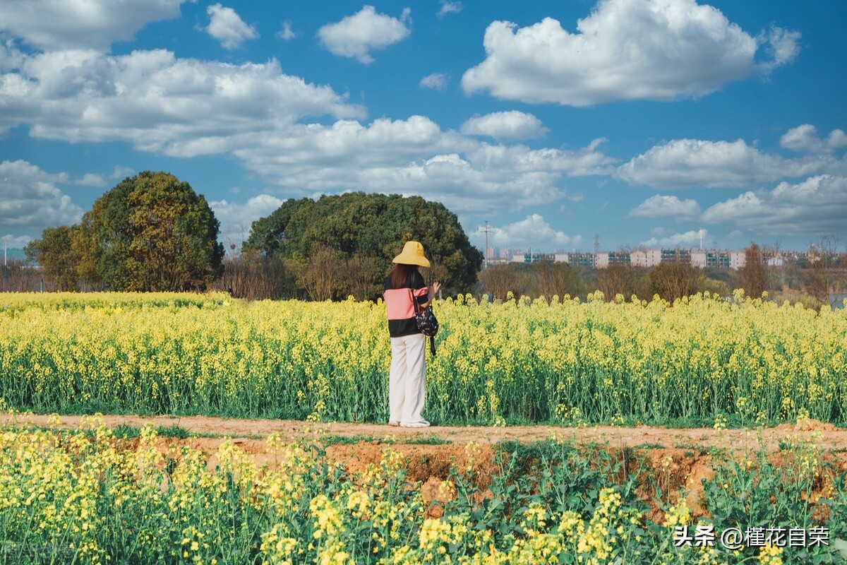 最好的朋友找你借20万怎么办,朋友找你借10000块钱