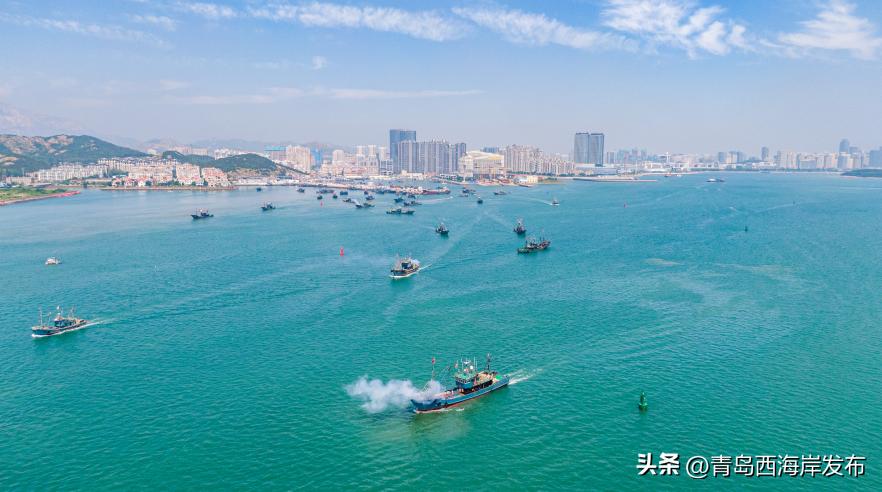 青岛西海岸开海,西海岸开海