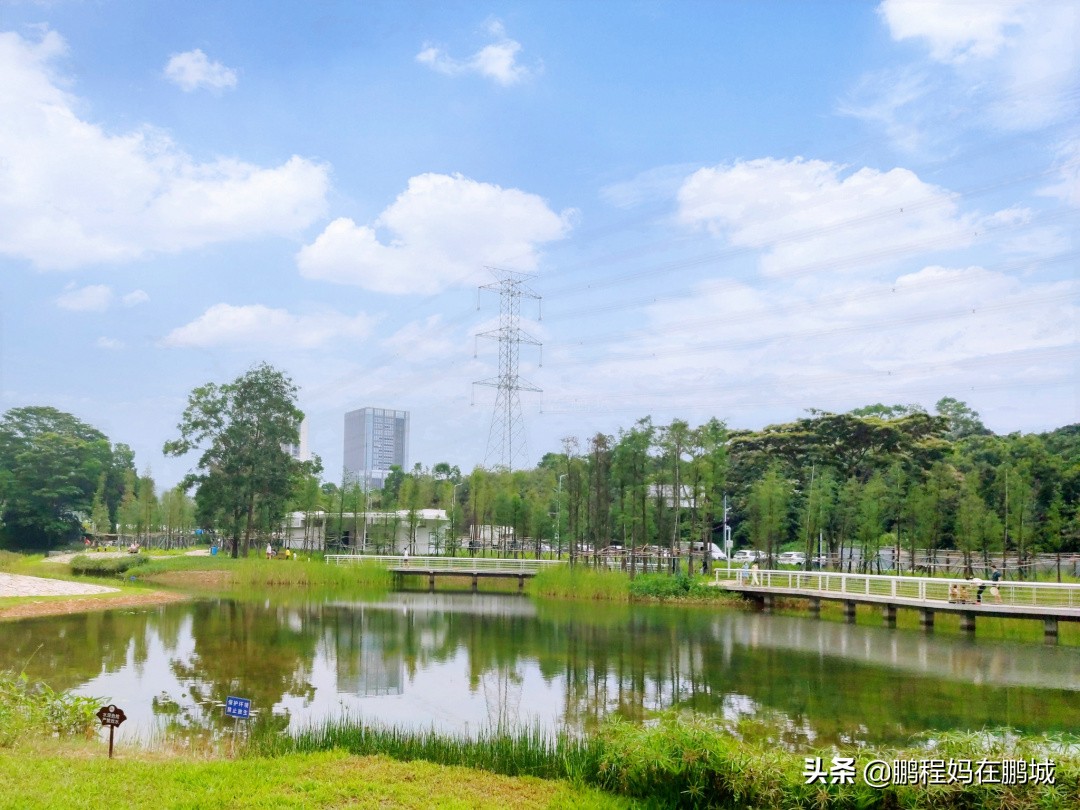 观澜最近翻新过的公园,龙华观澜中心公园