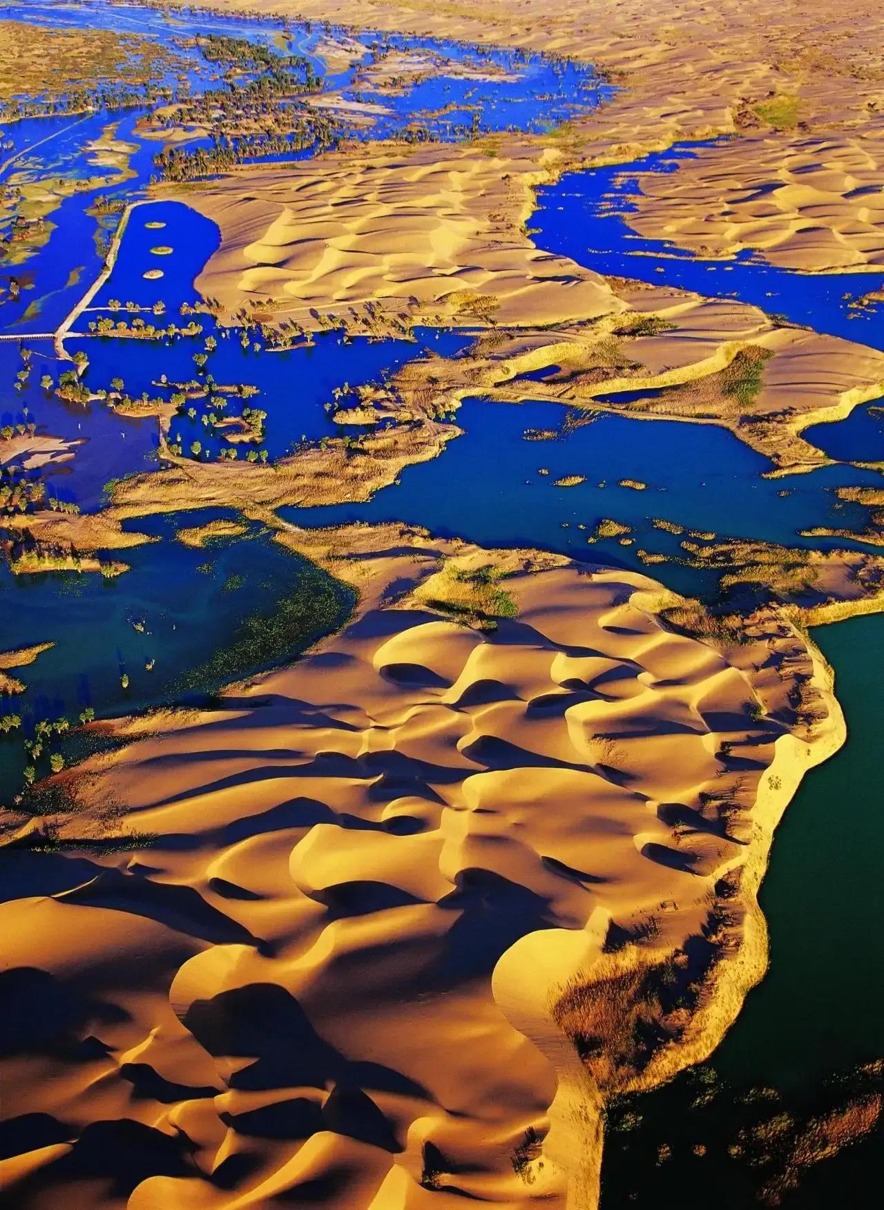 对未来商业模式的解读,未来的商业模式是什么样