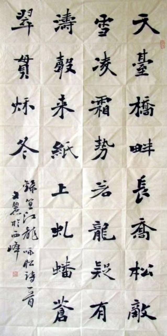 魏碑安文丽,安文丽魏碑示范视频