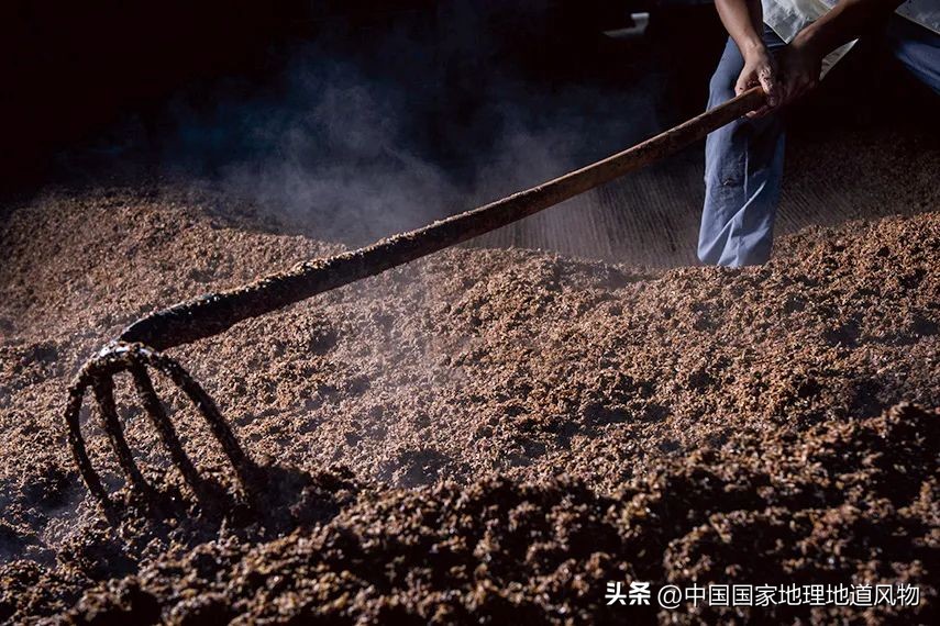 红高粱里的酒为什么是红的,红高粱里酒怎么是红的