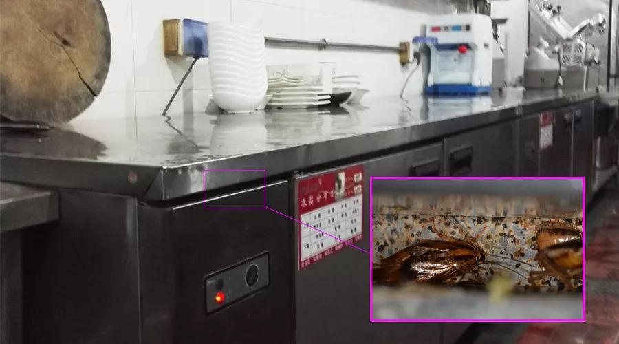 蟑螂怎么正确消灭最彻底非广告,蟑螂怎么正确消灭最彻底不看广告