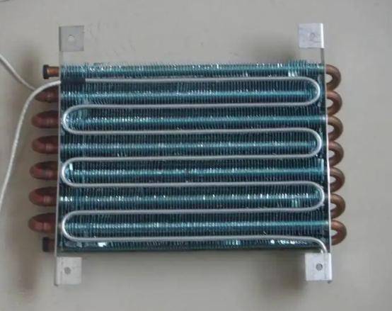 授之以渔阅读答案2016,授之以渔的五篇阅读