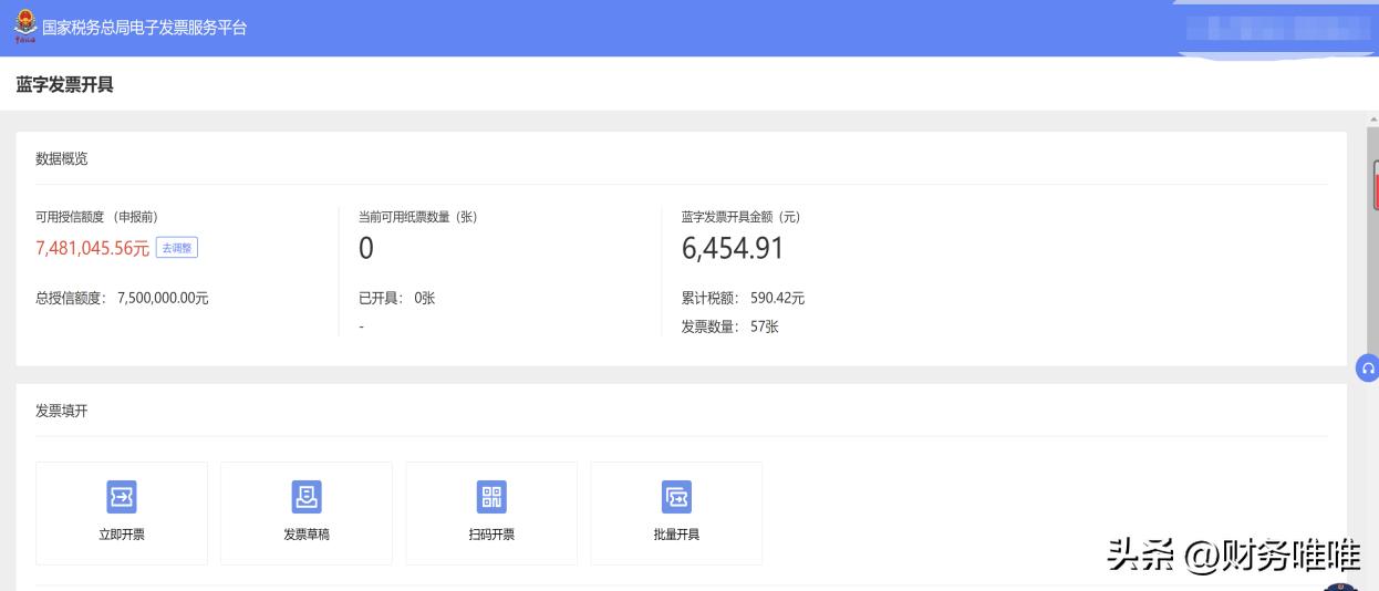一般纳税人电子发票开通流程,税务电子发票平台怎么进入