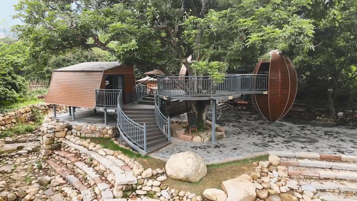 广州摘荔枝一日游最佳路线,从化自驾游荔枝采摘园