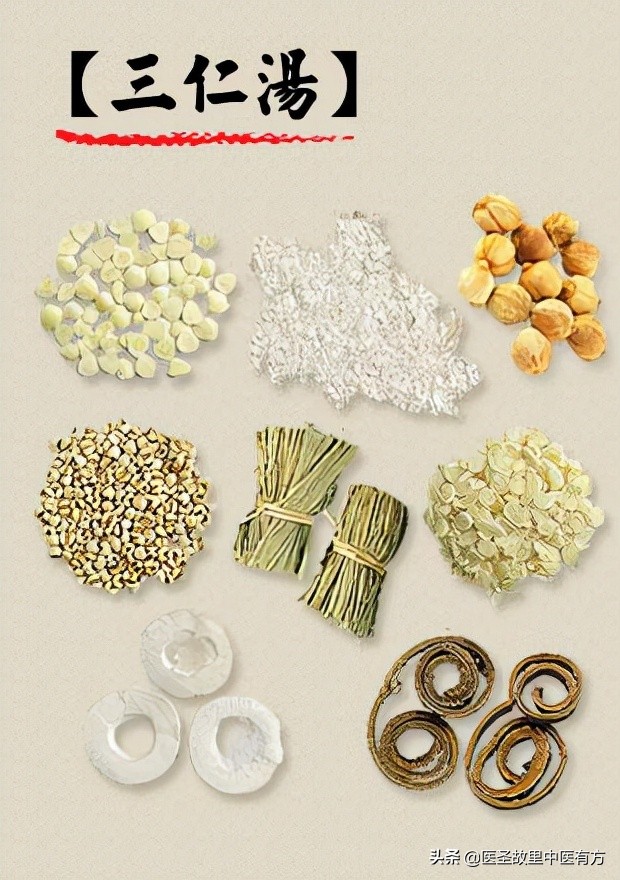 化湿名方三仁汤剂量,三仁汤治湿热的配方