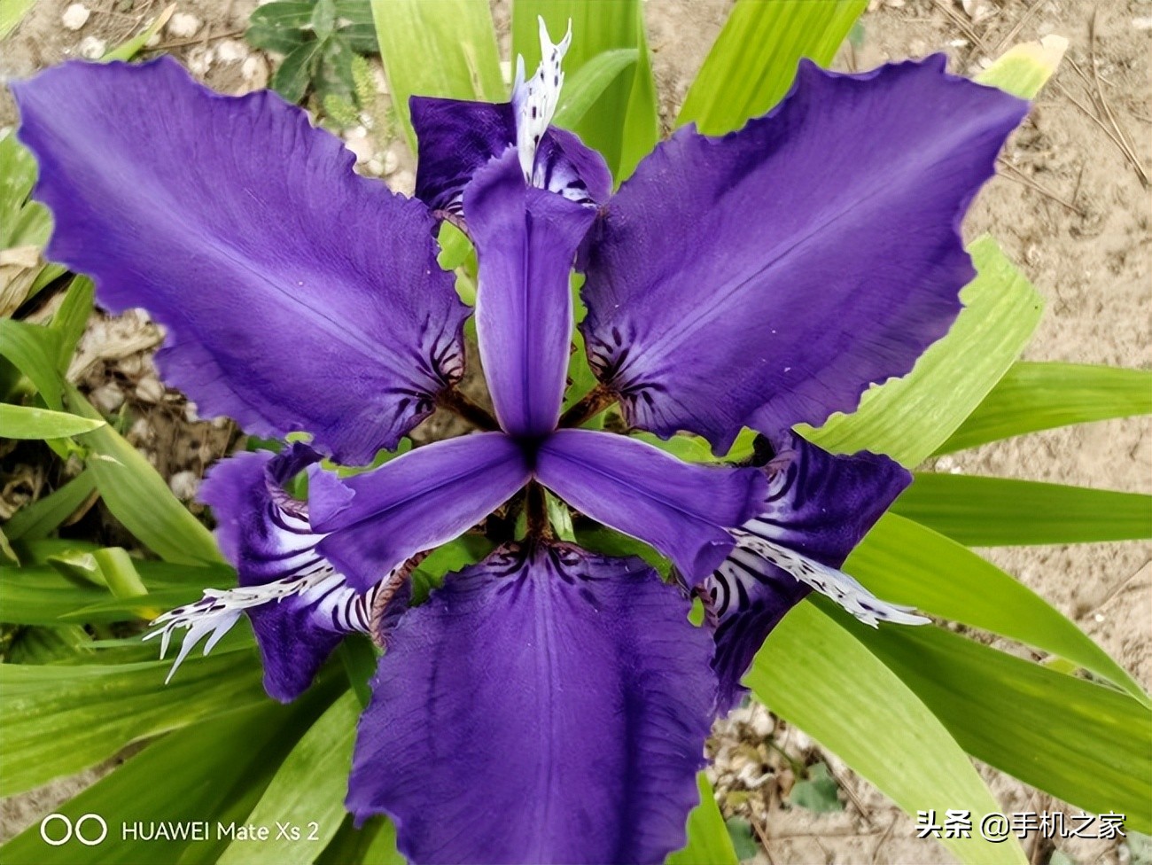 华为matexs2使用一年感受,华为matexs2使用真实体验