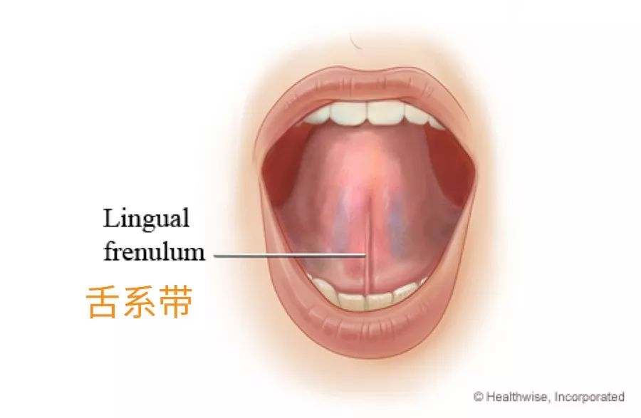 看小孩舌头知病情和解决方案,看孩子舌头可以判断出哪些病