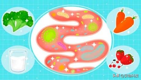 深圳安翰磁控胶囊胃镜,安翰磁控胶囊胃镜青岛哪个医院有