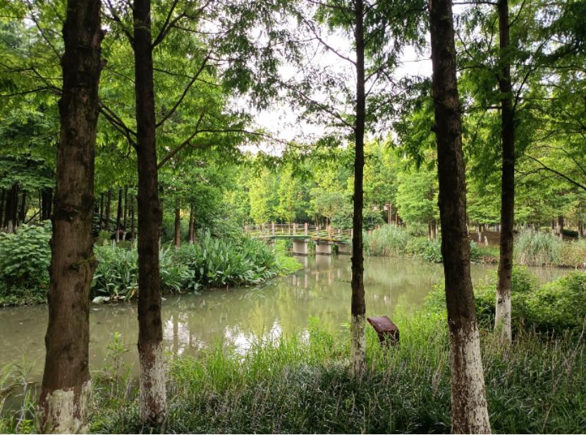 三线城市的未来房价,一个三线城市的真实房价