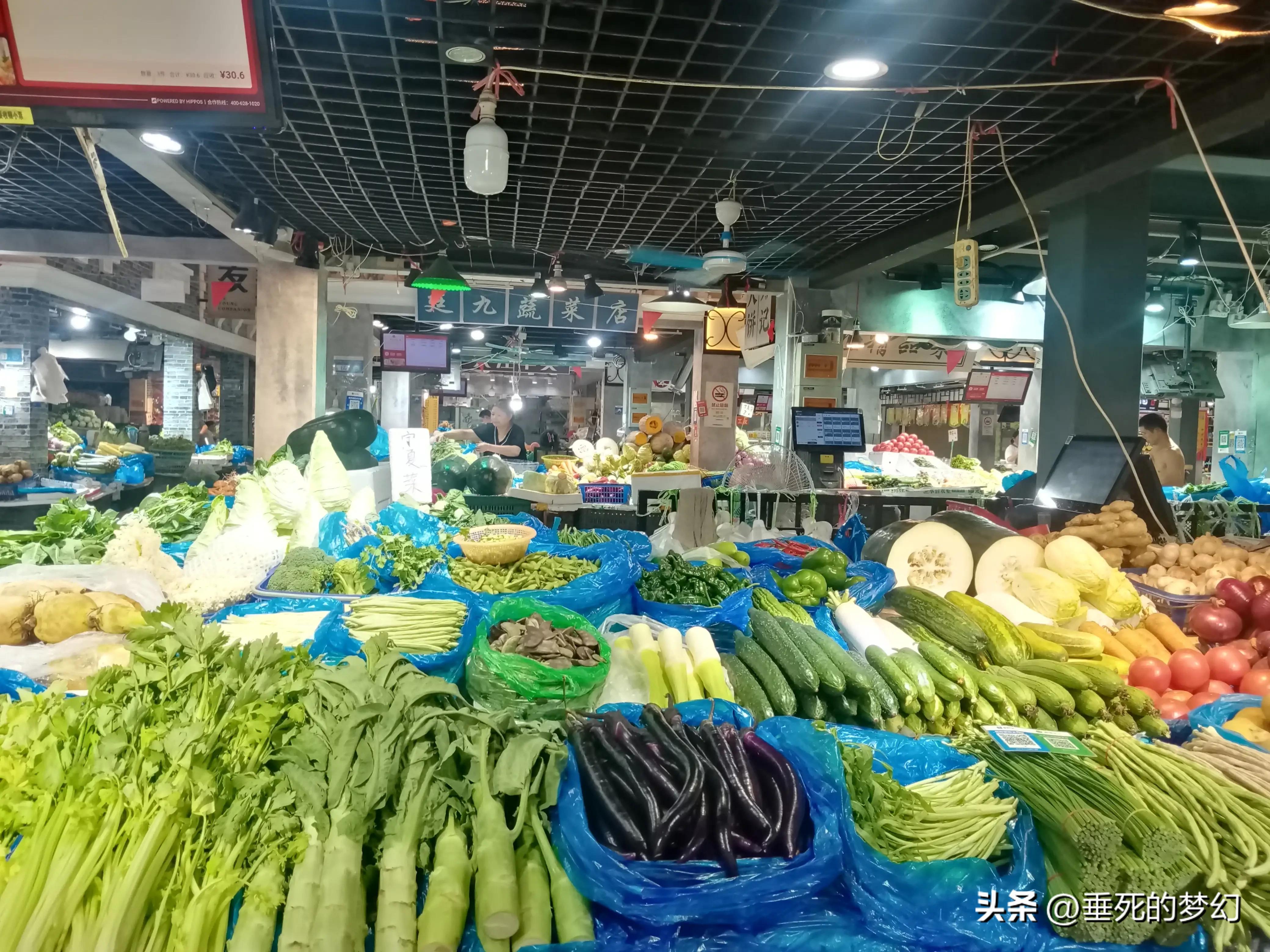 美丽的普陀,美丽普陀同心家园