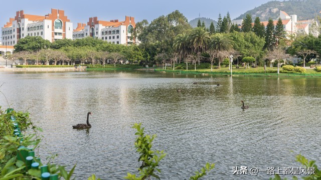 厦门旅游十大必去景点厦门大学,厦门南普陀寺厦门大学一日游路线