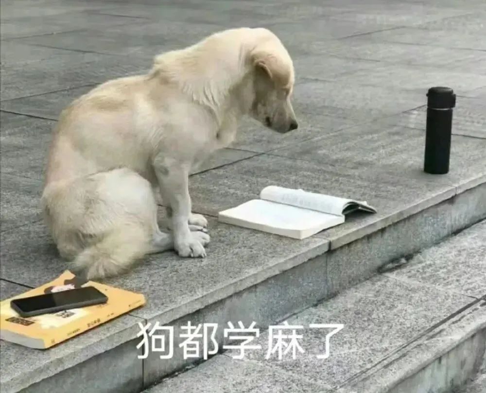 对标b站的新软件,和b站齐名的app