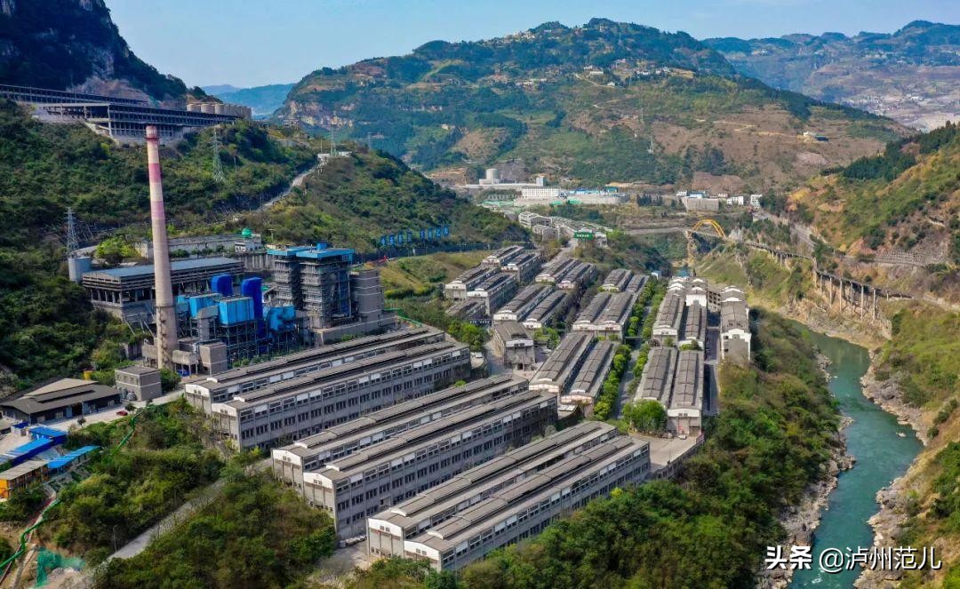 四川省古蔺郎酒厂招聘工资,2024郎酒厂制曲工什么时候招聘