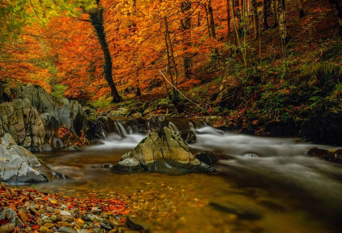 一篇能给你带来启发的文章,读完这篇文章之后你有什么感悟