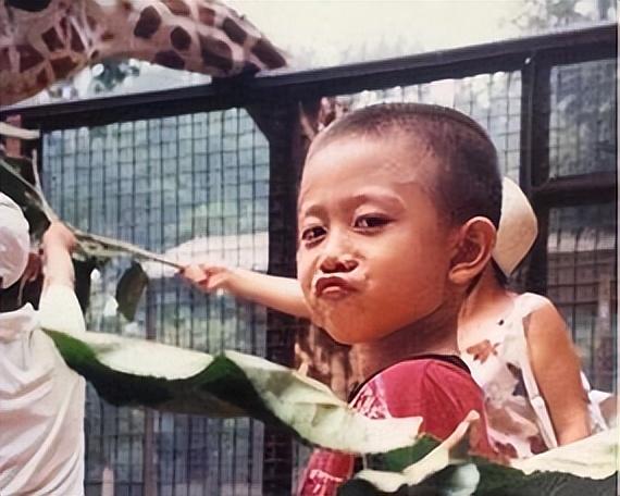 演员张一山现在做什么,演员张一山现在什么情况