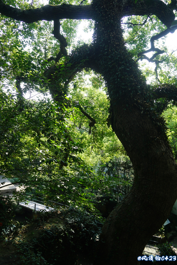 西湖有山名曰孤山（22——288）