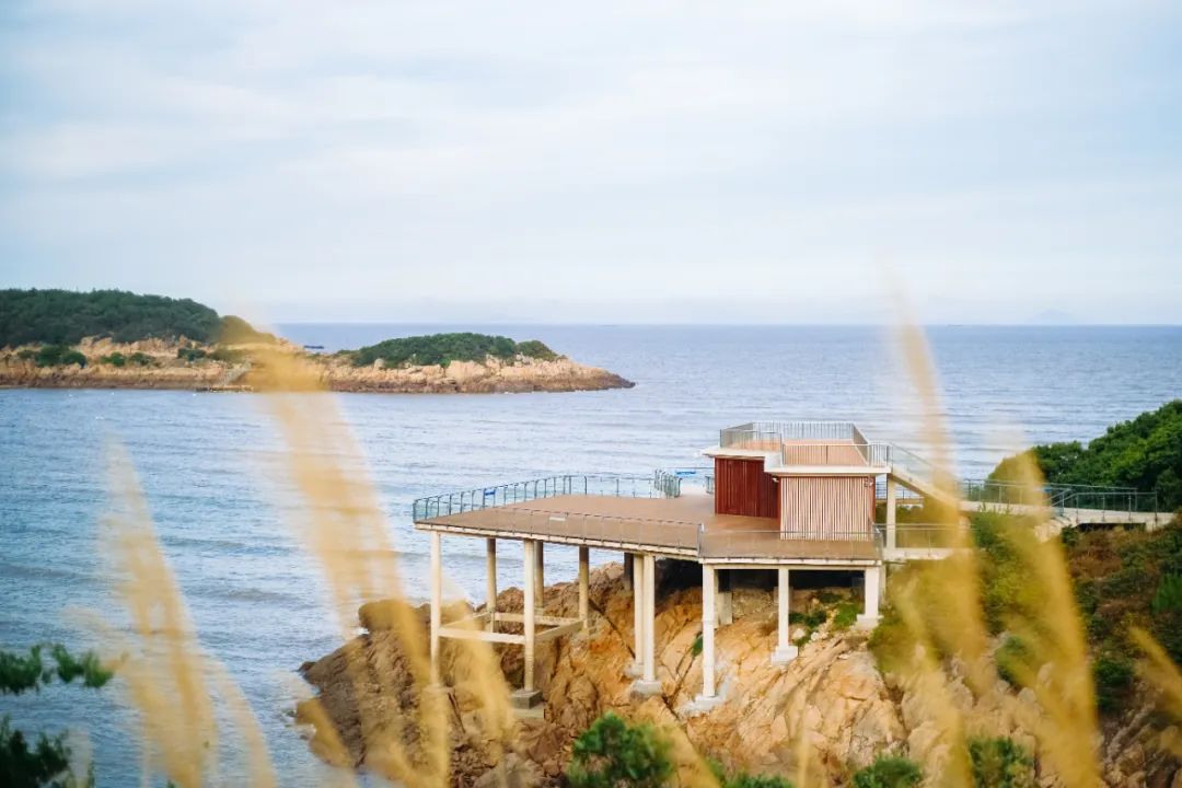 真吃不下了,这个靠海吃海的小县城怎么就能这么好吃