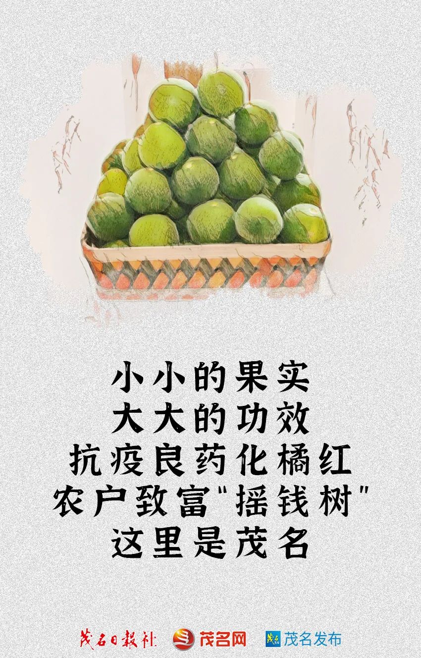 茂名为什么不是省域副中心城市,茂名是一个慢节奏的城市