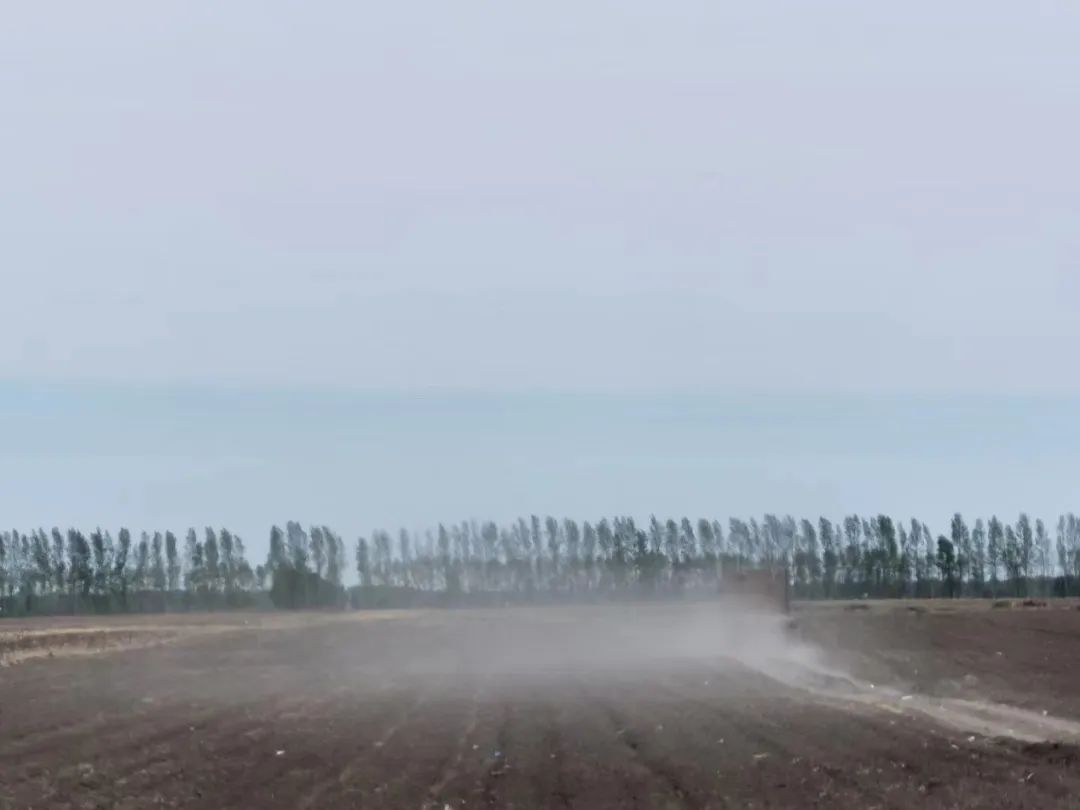 东北黑土退化的原因及措施,东北黑土退化的原因及治理措施