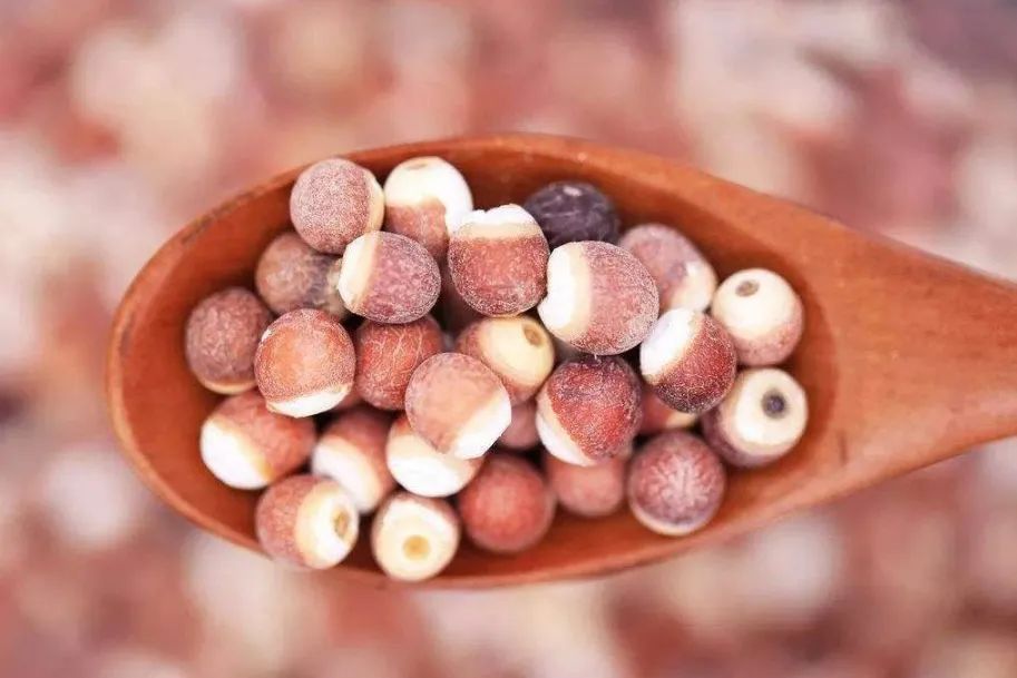 药食同源祛湿食材,健脾效果好的药食同源食材