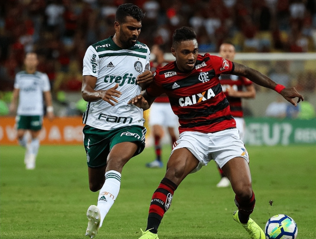 m体育是哪个旗下的,解放者杯弗拉门戈比分