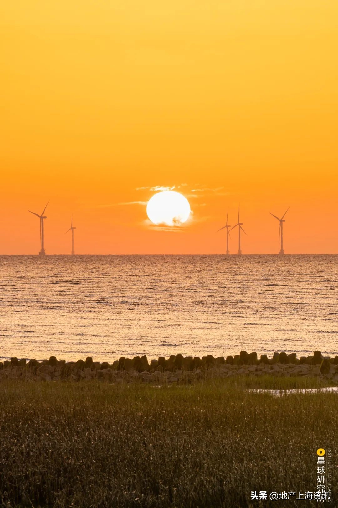 上海为什么需要洋山港,临港会是上海未来最好的地方吗