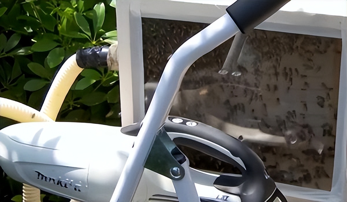 新加坡哪些工种比较赚钱,新加坡27个紧缺职业