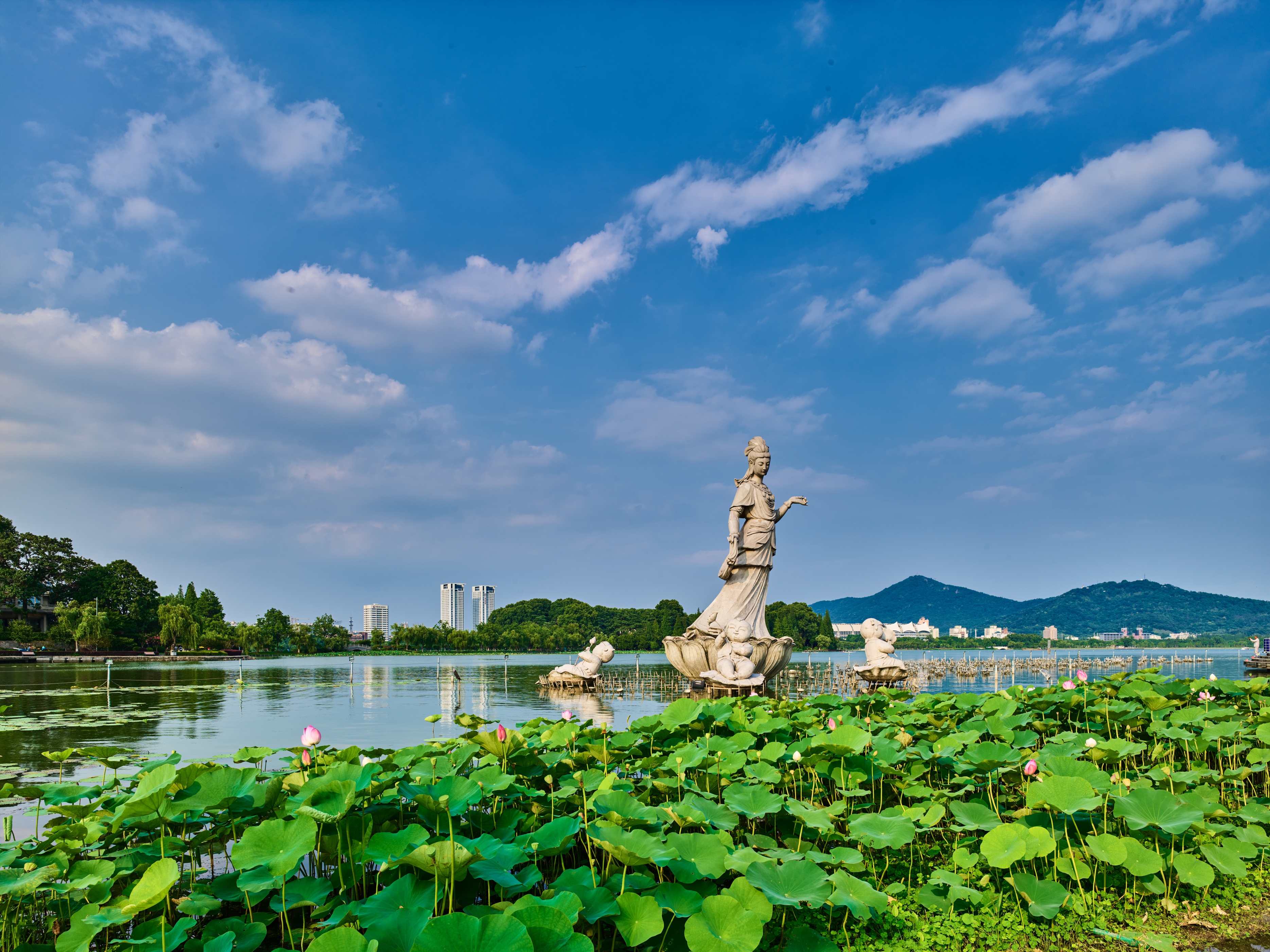 南京之行随笔金陵感怀,看完南京南京后的读后感